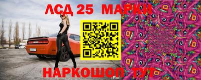 прущие грибы Среднеуральск
