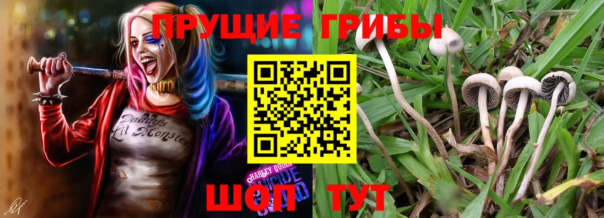 Гашиш  Наро-Фоминск  Меф кристаллы  Мефедрон  Вход с VPN  Каннабис 