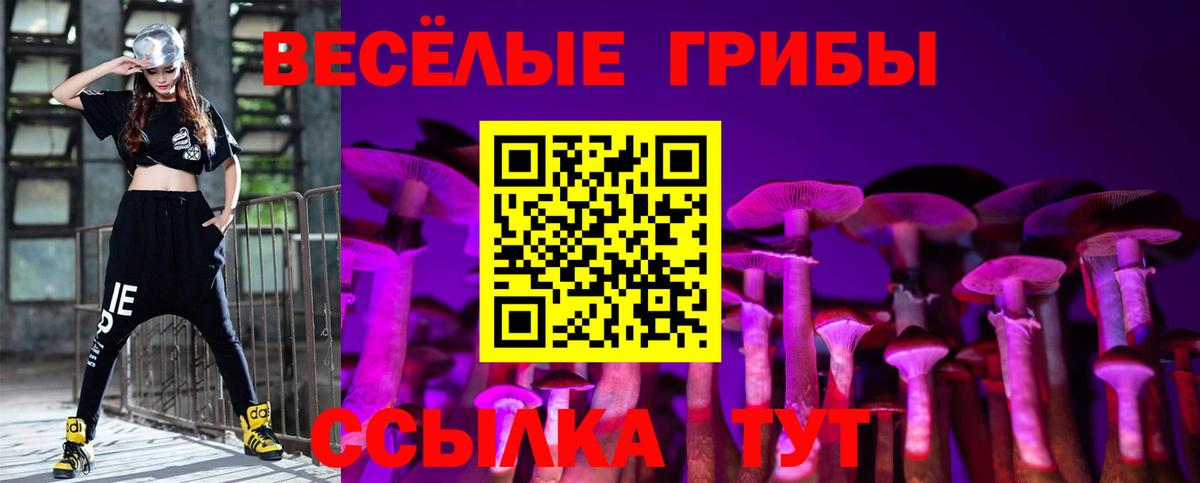 Галлюциногенные грибы мицелий  Галлюциногенные грибы GOLDEN TEACHER  Наро-Фоминск  Вход с VPN 